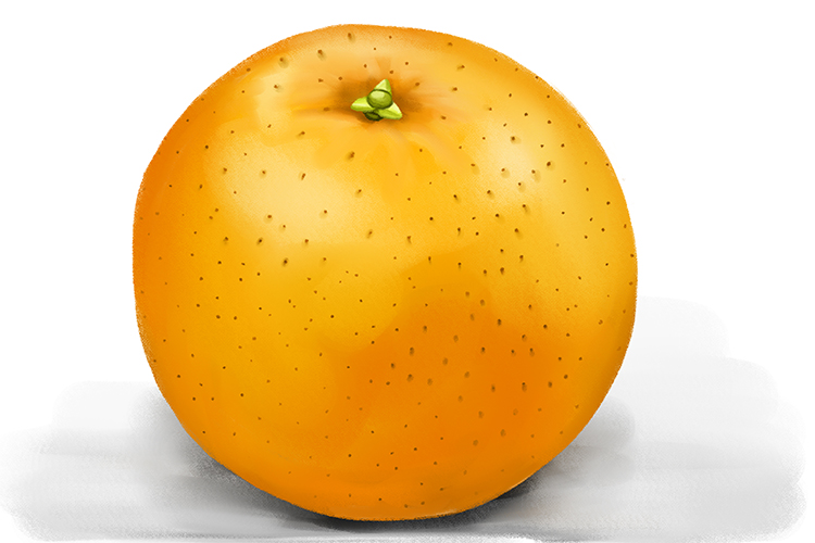 To find a surface area of a sphere take an orange